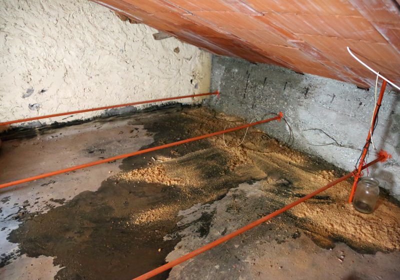 Bathroom Water Damage Repair in Charleston, SC