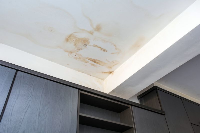 Crawl Space Remediation in Conroe, TX
