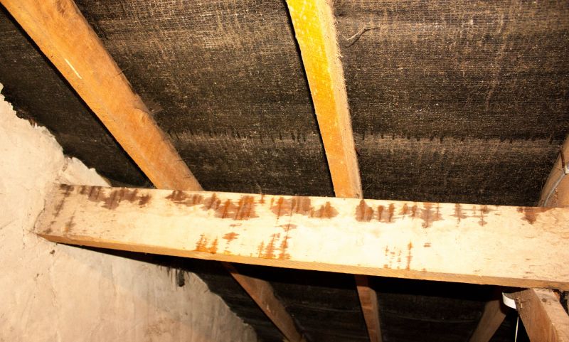 Crawl Space Remediation in Conroe, TX