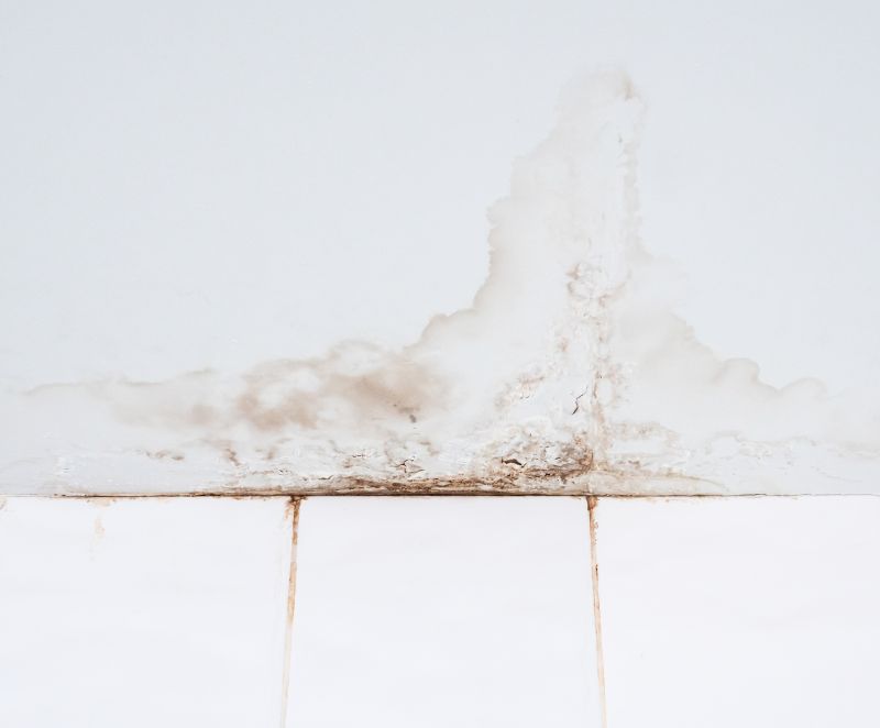 Water Damage Ceiling Repair in Alpharetta, GA