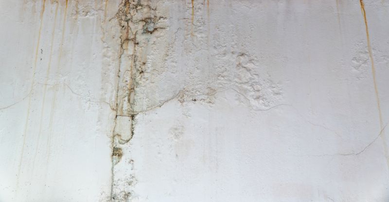 Water Damage Ceiling Repair in Conroe, TX